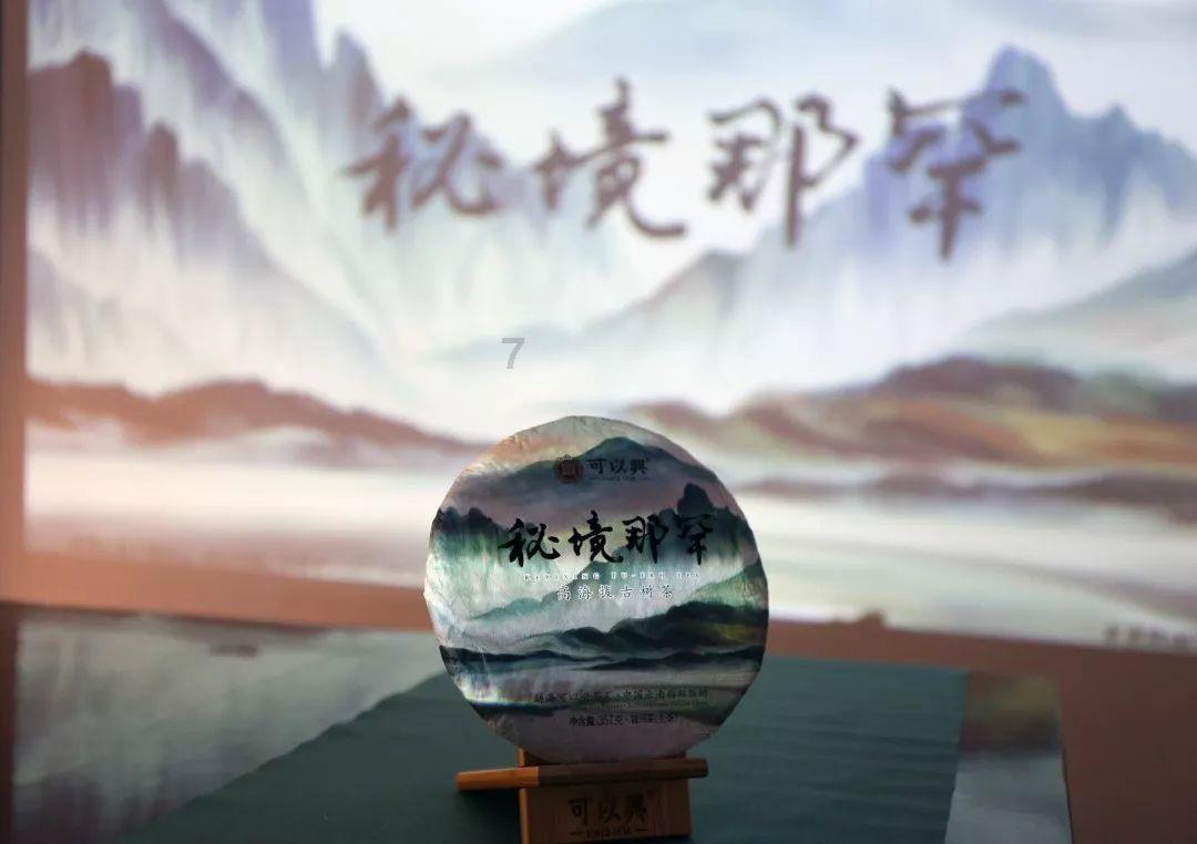 全民烧脑3去广告版